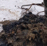 Сотрудники белгородского водоканала устранили 1 146 засоров канализации за месяц - БелПресса