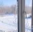 120 БПЛА атаковали Белгородскую область 4 февраля - Мир Белогорья