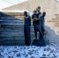 Трагедия на Камышитовом заводе - Городской совет