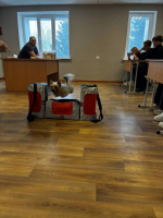 Девятиклассники познакомились с профессиями правоохранительной сферы.