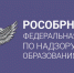 Чат-бот «Помощник Рособрнадзора»: итоги 2025 года - Министерство образования