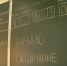 В Белгородской области продлили особый формат сдачи ОГЭ и ЕГЭ - Мир Белогорья
