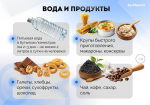 Как белгородцам собрать тревожный чемоданчик на случай ЧП - Изображение