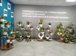Цветущий символ единства