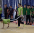Спортивный праздник сильных, ловких и умелых - БелГУ