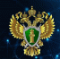 Белгородку приговорили к 5,5 года общего режима за публикацию ложных сведений о ВС РФ - БелПресса