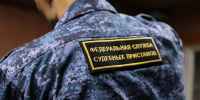 Новоосколец вернул фермеру 121 тысячу рублей за украденных овец - БелПресса
