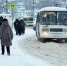Белгородка возмутилась отсутствием урн на автобусных остановках в Белгороде - БелПресса