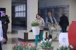 В Белгородском госуниверситете зацвели тюльпаны