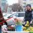Какие цветы предлагают на цветочных базарах Белгорода к 8 Марта - БелПресса