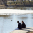 Как отдохнуть белгородцам 13–15 марта - БелПресса