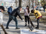 В Белгороде на субботник вышли около 400 человек - Изображение 1
