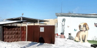 Прокуратура выявила антисанитарию в белгородском приюте для бездомных животных - Мир Белогорья