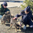 JPG Файл - УМВД Белгородской области