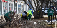 В Белгороде начались сезонные работы по благоустройству цветочных клумб - Belnovosti.Ru