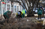В Белгороде начались сезонные работы по благоустройству цветочных клумб
