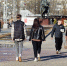 В Белгороде планируют обновить 43 тысячи квадратных метров тротуарной плитки - БелПресса