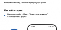 Заботиться о питомцах стало проще: записаться к ветеринару теперь можно на «Госуслугах» - Изображение 1 - Минстрой Белгородской области