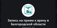 Вячеслав Гладков напомнил о чат-боте для записи к врачу в MAX - Мир Белогорья