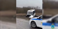 В Старооскольском округе перевернулся автобус, объезжая собаку - Мир Белогорья