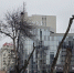 Мэр Белгорода пообещал заменить вырубленные в центре Белгорода ясени черёмухой - Fonar.Tv