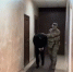 ФСБ задержала агента украинских спецслужб в Белгородской области - Мир Белогорья