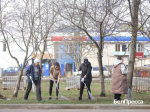 На субботник в Белгороде вышли 860 работников различных организаций - Изображение 2
