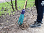 На субботник в Белгороде вышли 860 работников различных организаций - Изображение 2