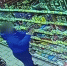 JPG Файл - УМВД Белгородской области