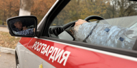 Сотрудники Росгвардии в Белгородской  области за неделю пресекли 90 административных правонарушений - Росгвардия