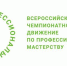 45 участников из Белгородской области выступят в финале чемпионата «Профессионалы» – 2026 - Мир Белогорья