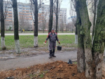 Белгородские компании присоединяются к городским субботникам