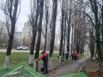 Белгородские компании присоединяются к городским субботникам