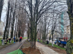 Белгородские компании присоединяются к городским субботникам
