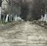 В Белгороде благоустраивают прогулочную зону по малому проезду проспекта Б. Хмельницкого - Belnovosti.Ru