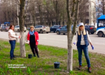 Продолжаются субботники с депутатами и жителями