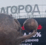 В Белгороде в рамках проекта «Город улыбок» появилась вторая скульптура - Belnovosti.Ru