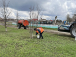 В Белгородском муниципальном округе продолжаются весенние субботники.