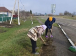 В Ракитянском округе продолжаются субботники.
