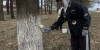 Экологическая акция «Дни служения Белгородской области» продолжается. - Администрация Белгородского района