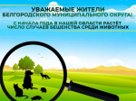Уважаемые жители Белгородского муниципального округа!.