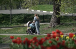 Белгородцы могут познакомиться с особо охраняемыми природными территориями