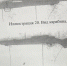 Браконьер из Старого Оскола заплатил 540 тысяч рублей за убитую самку кабана - Мир Белогорья