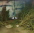 JPG Файл - УМВД Белгородской области