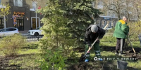 Клумбы у Вечного огня на Соборной площади в Белгороде благоустраивают по отдельному проекту - Belnovosti.Ru