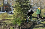 Клумбы у Вечного огня на Соборной площади в Белгороде благоустраивают по отдельному проекту