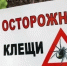 Жителей Белгородского округа предупредили о начале сезона активности клещей - Сетевое издание Знамя 31