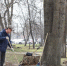 В Белгороде на весеннюю уборку улиц вышли 125 человек - БелПресса