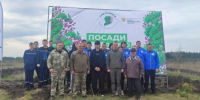 Жители Белгородской области присоединились к акции «Сад памяти» - Сетевое издание Знамя 31