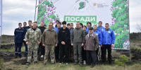 В рамках международной акции «Сад памяти» в Белгородской области высадят 503 тысячи сеянцев - Мир Белогорья
